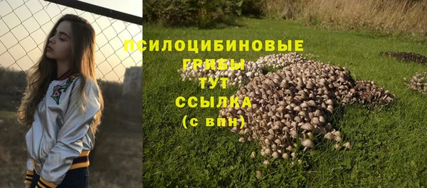 ешки Елабуга