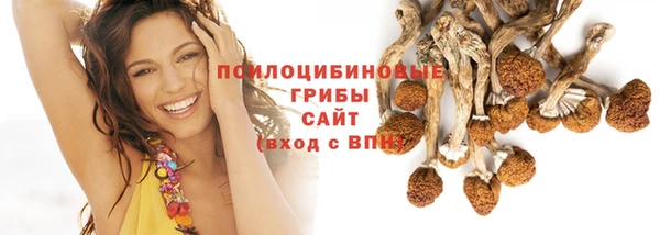 кокс Дмитров