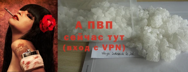 кокс Дмитров
