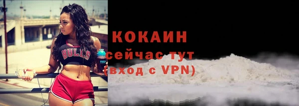 кокс Дмитров