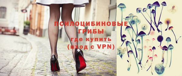 jwh Ельня