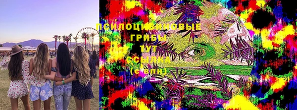 ешки Елабуга