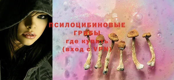 твердый Дмитриев