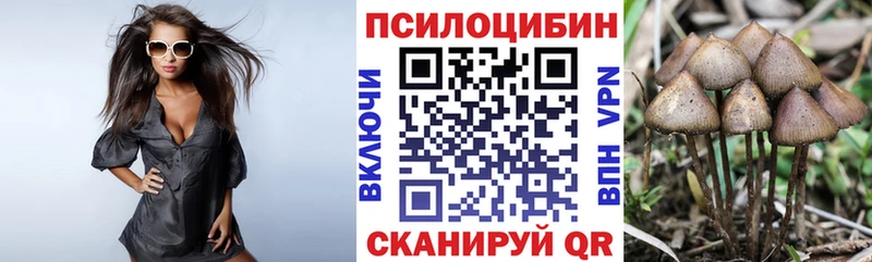ссылка на мегу как зайти  Славск  darknet телеграм  Галлюциногенные грибы MAGIC MUSHROOMS 